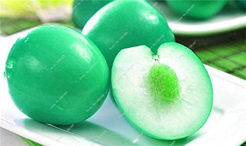 Bunte Jujube Zizyphus Mauritiana Seeds indische Dattelpalme Nicht-GVO-Bio-Frucht Bonsai-Baum-Samen Seltene Außendekoration 10 PC-11