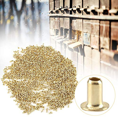 Omquot Oeillets de Cadre de Nid de Ruche Durables pour Outils Apicoles Essentiels 1000 Pièces pour Apiculteurs Cuprum 2 * 5mm (1000 pièces)