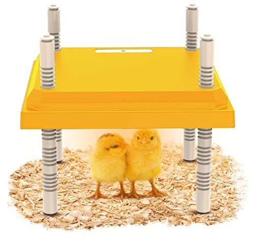 Lampe Chauffante Poussin, Plaque Chauffante Pour Poussins, Plaque Chauffante Poussin, Plaque Chauffante Pour Couveuse à Poussin, Hauteur Et Angle RéGlables, Pour 15-20 Poussins, Canetons