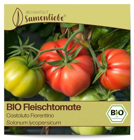 Samenliebe BIO Fleischtomaten Samen alte Sorte Costoluto Fiorentino süße Ochsenherztomate italienische Tomate 10 Samen samenfestes Gemüse Saatgut für Gewächshaus Freiland und Balkon BIO Gemüsesamen