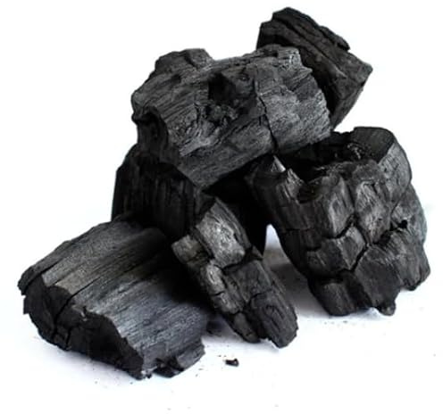 Carbone Biologico Vegetale Ideale Per Barbecue Lotus grill Legna di Leccio Pura Made in Italy | Selezionato a Mano (10 KG PROFESSIONALE NO LOTUS)