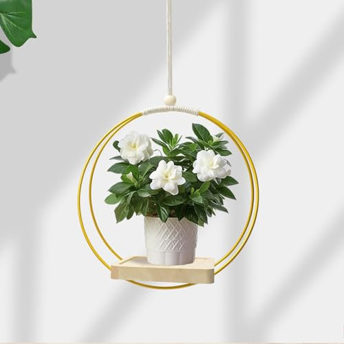 Blumenampel Hängend Innen Hängetopf für Pflanzen Hängeampel Hängeblumentöpfe Pflanzenampel Ideal für Pflanzenliebhaber und Wohnaccessoires Enthusiasten die Stilvolle Raumgestaltung Suchen(Gold)
