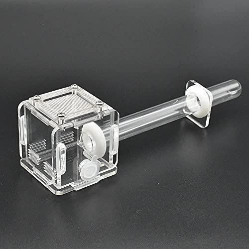 MTYIQS Acrylic Transparent Mini Ant Nest Glass Nest Tube Farm Experiment Small Colony Feeding Area Ant Observation Science 50x50x50mm