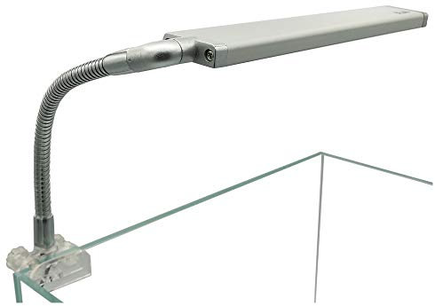 Blau Aquaristic Spitze Lumina 11 RGBW