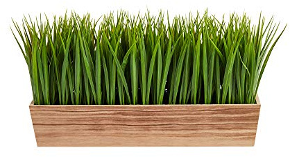 Nearly Natural 20in. Vanilla Grass Artificial Plant in Decorative Planter