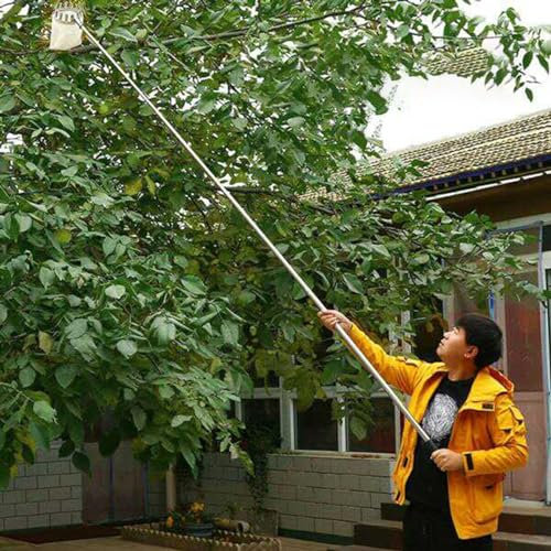 raccogli asparagi pinza frutta 2.5 6 7 10 M Strumento Di Raccolta Frutta Estensibile Con Borsa, Albero Di Frutta Leggero Grabber Palo Di Estensione/ Raccoglitore Per Ottenere Agrumi, Pesche E Mele, Pa