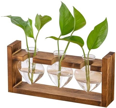 Naapesi Station de Propagation des Plantes en Verre - Petit Vase Vintage avec Cadre en Bois, Décoration de Table et Terrarium Hydroponique, Petit Vase à Fleurs pour Salon, Bureau, Rebord de Fenêtre