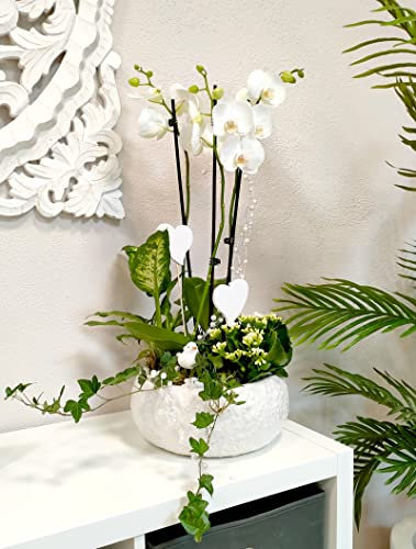 DARO DEKO Keramik Pflanz-Gefäß rund weiß Ø 28cm