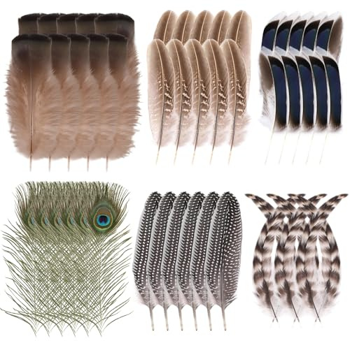 48Pcs Craft Feathers Decorations Assorted Colors Peacock Feather Bulk Turkey Hat Feather Decors 6 Styles Assorted Natural Real Feathers for Hats DIY Crafting,Christmas,Wedding and Holiday Decorations
