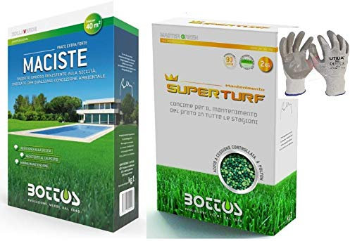 Maciste, Sementi per tappeto erboso ideale per zone aride 1Kg + Concime Fertilizzante per Prato Super Turf 24-6-9 da 2Kg - Bottos * Guanti VF UTILIA inclusi 