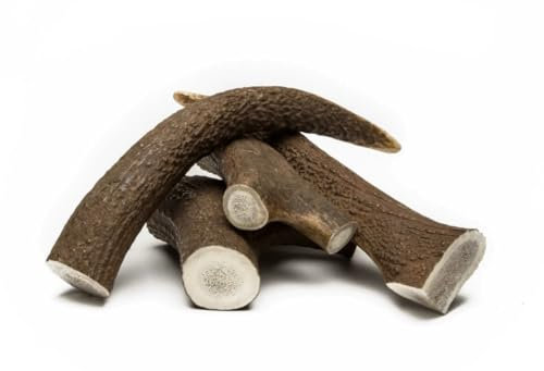 Corno di Cervo Naturale per Cani, Osso da Masticare 100% Naturale, Varie Dimensioni per Tutti i Tipi di Cani (TAGLIA L (150-220 G))