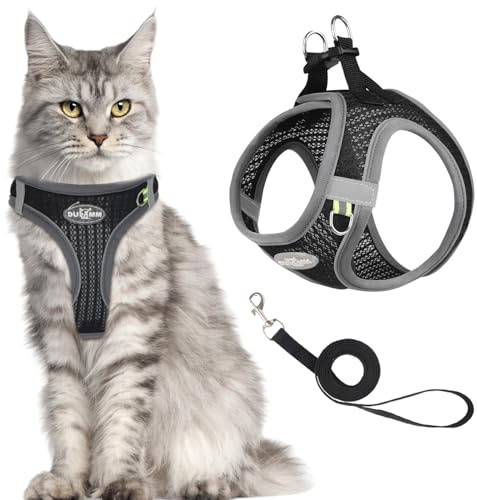 MOTIBACK Katt komfort, ventilerande svart kattsele med mjuk sele för bröstsele urin, kattsele med koppel som går sönder, justerbart kattkoppel med sele för katter (M)