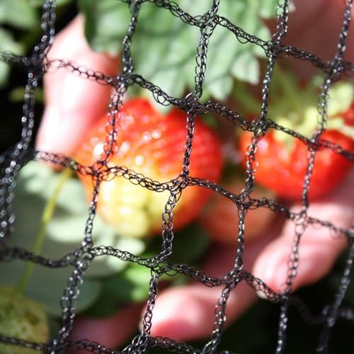 Oakland Gardens Anti Bird Netting 2m 4m 6m 8m 10m 12m Net Fruit Pond Garden Bird Flu Protection (2meter x 100m Netting)