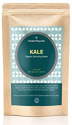 VERDANT REPUBLIC Organic Sprouting Seeds | Non GMO Superfood | Easy to Sprout | Red Cabbage, Parsley, Coriander, Basil, Beetroot, Kale & etc (Black Kale, 125g)