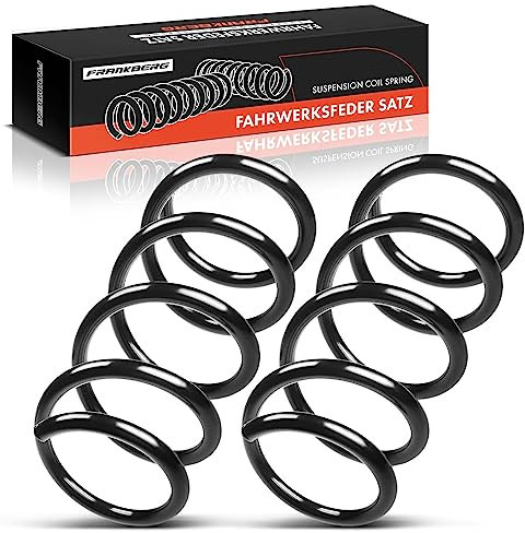 Frankberg 2x Federn Fahrwerksfeder Hinterachse Kompatibel mit 500 312 0.9L 1.2L 1.3L Schrägheck 2007-Heute Replace# 51805424