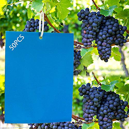 Panngu 50 Piezas de Trampas para Insectos, Profesión Trampas Adhesivas de Doble Cara, Atrapamoscas para Plantas para Thrips, Moscas, Pulgones, Mineros de Hojas, Polillas etc (20 X 15CM)