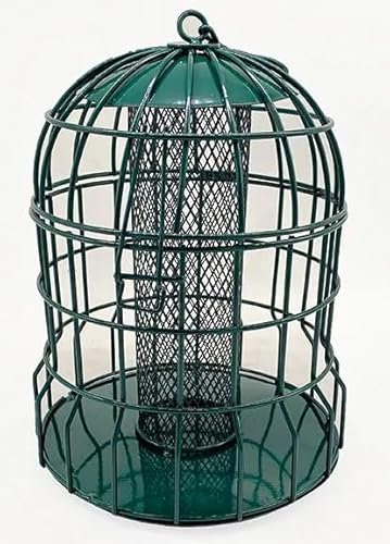 Squirrel-Proof Caged Nut Feeder for Wild Birds