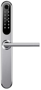BOT Serratura elettronica per porta, Smart Lock Doorknob, TTlock, Bluetooth, funzione intelligente, serratura con lettore di impronte digitali, senza inserto cilindro (argento, senza inserto cilindro)