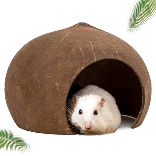 DXQCHDUO Hamsterhaus, Kokosnusshütte, Kokosnussschalen-Versteck, Vogelhaus, Kleintier-Lebensräume, Gecko-Nisthaus, Kleintierversteck (13,5 x 7,6 x 10,5 cm)