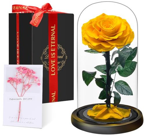 Festa della Mamma Rosa Stabilizzata Vera Regalo Donna in Cupola Vetro​ - Regalo di San Valentino, Donna Regalo Compleanno, Rosa Eterna Idee Regalo Mamma Moglie Fidanzata Nonna, per Anniversario