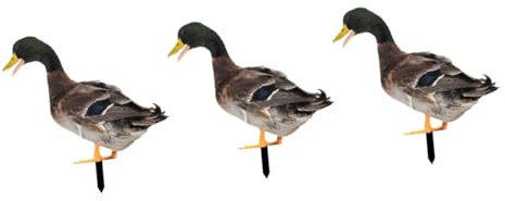 VANZACK Lot De 3 Décorations De Jardin en Acrylique en Forme De Canard pour L'Extérieur