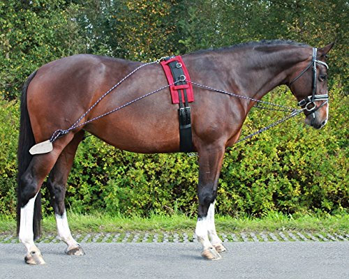 QHP Longier-Hilfszügel zur Förderung der Hinterhand, an verschiedenen Punkten verstellbar (Schwarz)