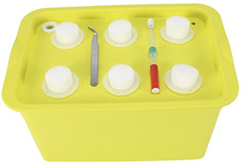 Pots de Germination Boîte de Semis 6 Trous Conteneur de Site d'Usine Kit Bubble Garden Jardinières Pots de Pépinière Intérieur Extérieur Serre Culture de Légumes Boîte de Plantation (Vert)