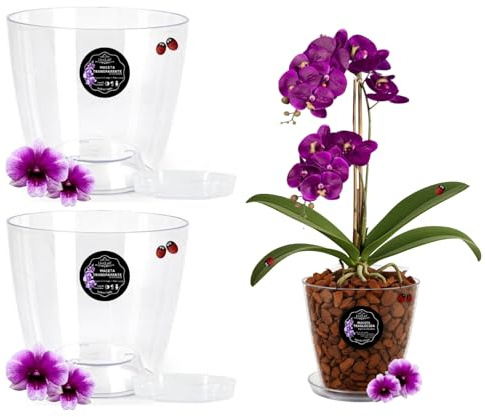 LiveLaif®- 2 Maceta orquidea Transparente Redonda Oval Ø14,5cm + Plato | Maceta Transparente orquidea | Agujeros Drenaje, Efecto Vidrio | Cubremaceta | Hecha en España, Tamaño a Elegir (2, Ø14cm)
