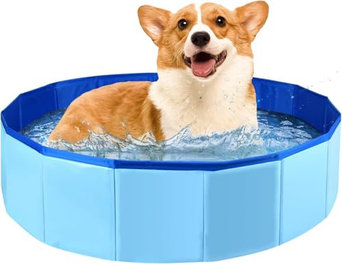 Faltbar Hundepool,PVC Hundepool,Schwimmbad für Hund,Hunde Planschbecken für Haustiere,Faltbarer Hundepool für Kleine Hunde,Hunde Schwimmbecken für Hund,Kinderschwimmbad, 50x8 cm, 1 Stück