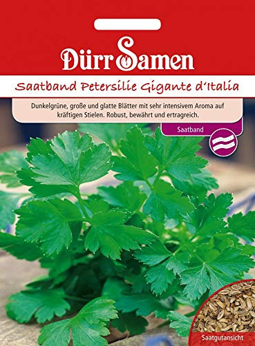 Dürr Samen 4188 Petersilie Gigante d'Italia Saatband (Petersiliensamen)