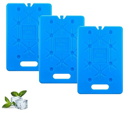 sunVigorous Grands blocs réfrigérants pour sac isotherme - 3/6 pièces de 600 ml - Élément réfrigérant ultra fin réutilisable - Convient pour les activités de plein air à emporter pour garder les