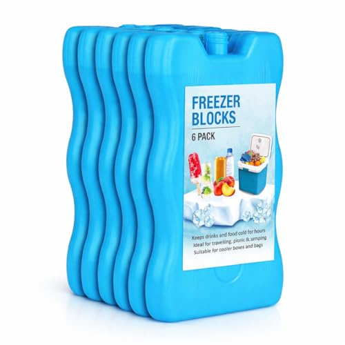 1ABOVE Lot de 6 blocs réfrigérants réutilisables pour conserver les aliments et les boissons au frais en plein air, plage, pique-nique, camping