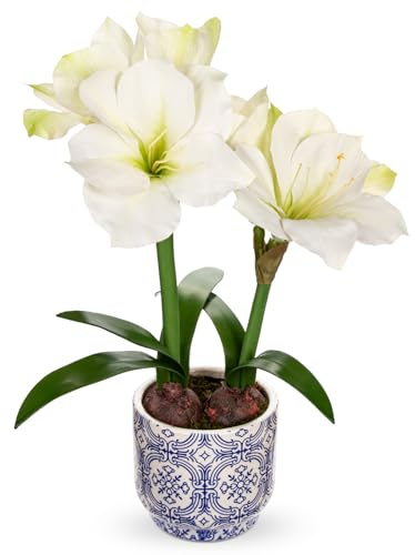 Briful Amaryllis Artificial Flowers in Blue Ceramic Pot 18.1 Faux White Amaryllis Flower Arrangement with Decorative Bulbs Moss Silk Amaryllis Plant for Home Office Bathroom Table Décor