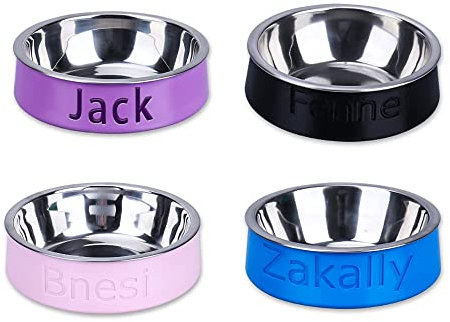OXYEFEI Comedero para Perros y Gatos de Acero Inoxidable,Cuenco para perros con nombre personalizado,Retirable Cuenco para Perros y Gatos,Recipiente Comida para Mascotas (4.33in)