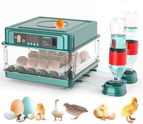 Incubadora de huevos automática, incubadora automática 15-36 huevos, con sistema de giro automático y control de temperatura, para Eclosión de huevos de gallina pato codorniz (15huevos)