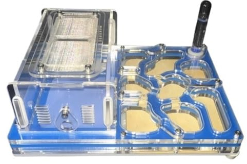 Nido del castello della fattoria delle formiche – Scatola for l'allevamento e kit di apprendimento scientifico for l'osservazione della colonia di formiche, giocattolo educativo Casetta per formiche