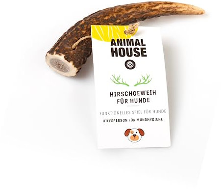Animal House - Corna di Cervo per Cani Intere - Masticativo Naturale al 100% - Rafforza Igiene Orale - Resistenti e Duraturi - Disponibili in Tutte Le Taglie - Cruelty Free (XS)