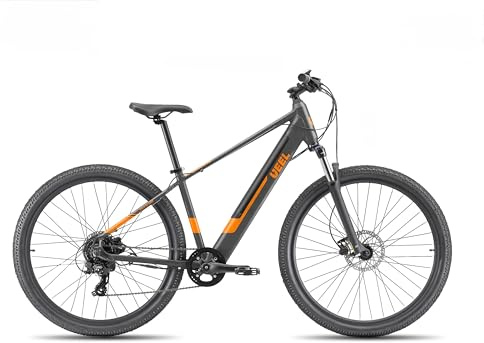 Rockblazer 25 BlackOrange E-Bike, Bicicleta eléctrica, Motor de 250W, Hasta 25 km/h, Batería extraíble 36V 10,4Ah, Autonomía hasta 90 km, Cambio de 8 velocidades, Ruedas de 29'' con frenos de disco