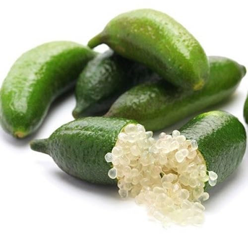 60 graines de citron caviar