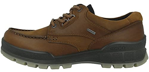 ECCO Herren Track 25 M Outdoor Shoe, Bison, 46 EU