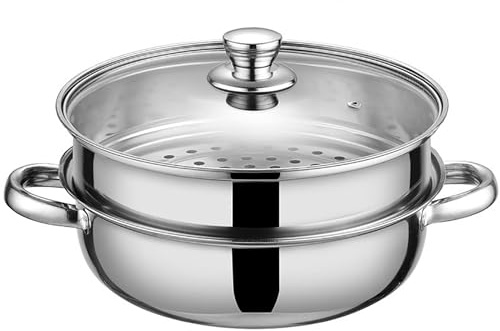 Steamer for Cooking,28cm Steamer Pot with Glass Lid,11 inch Steam Pots with Lid 2-tier for Cooking Veggies Fish Seafood Noodles, Pasta, Food