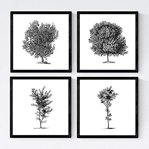 Nacnic set med fyra blad av träden. Trädstammar i storlek 30 x 30 cm, affisch pappersbakgrund 250 g och högkvalitativa färger varierar. Ramlös