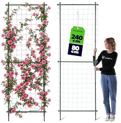 KADAX Rankgitter 80 x 240 cm, Rosengitter aus beschichtetem Metall, Rankgerüst, Rankhilfe für Rosen, Clematis & Kletterpflanzen, Rosenspalier, Sichtschutz für Garten