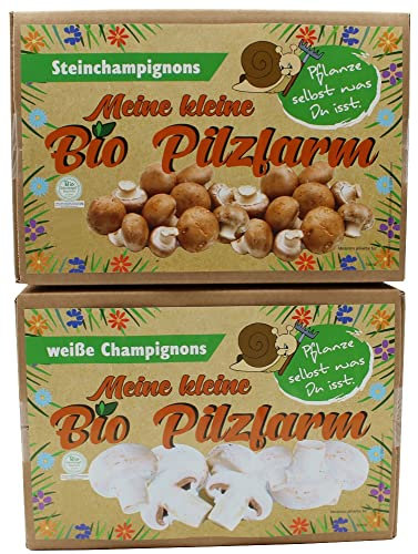 BIO Champignon Komplettset 1x Steinchampignon + 1x Champignon - Pilze selber züchten