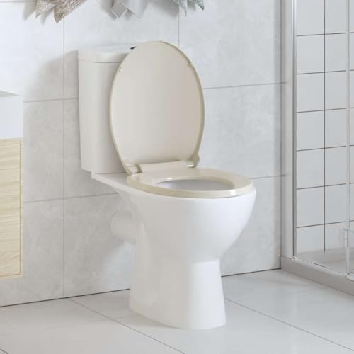 Genérico Tapa y Asiento de váter Cierre Suave Ovalada Color Albaricoque