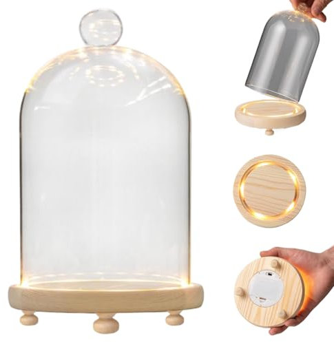 Dôme en verre avec base, cloche en verre, dôme en verre minimaliste, cloche en verre alimenté par batterie avec base illuminée, fausse poupée de fleurs figurine collectible en verre Cloche pour table