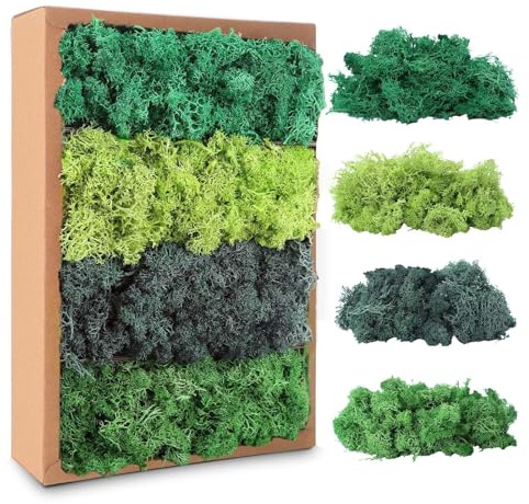 Avagiaforu Musgo Preservado, Musgos Decorativos Imitados en 5 Colores Diferentes, 200 g, Musgo Natural Preservado Decorativo, Musg para Manualidades, Simulación de Musg para Hogar Decorar
