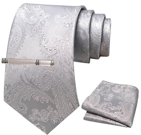 JEMYGINS Herren Paisley Krawatten set mit Krawattenklammer und Einstecktuch,Silber