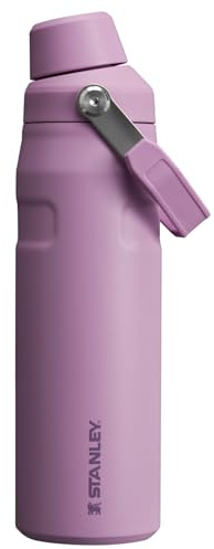 Stanley IceFlow Fast Flow Water Bottle 24 oz | Angled Spout Lid | Lightweight and Leakproof for Travel and Sports | Insulated Stainless Steel | BPA-Free | Lilac