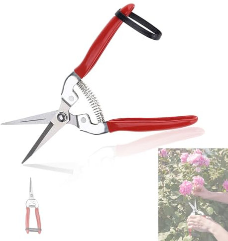 Ciseaux de jardin, Bonsaïs d'arbres fruitiers Jardinage Élagage Cisailles Sécateur Outil de printemps pour jardin(Tout droit) sécateur pour couper fleurs sécateur pour couper fleurs+épinette